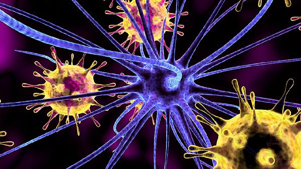 癌症转移到肝上能活多久(图2) 癌症转移到肝上能活多久(图2)