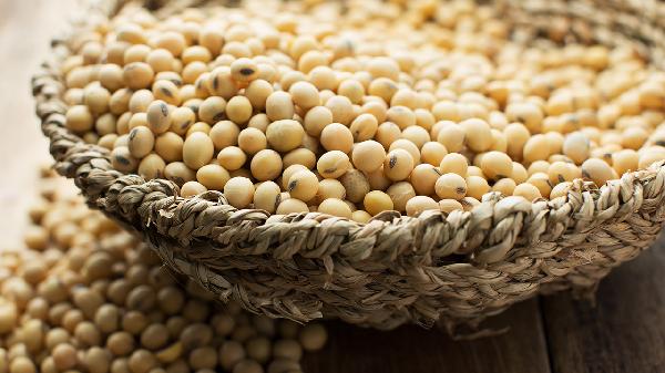 拔智牙后牙洞里有食物渣怎么办(图1)