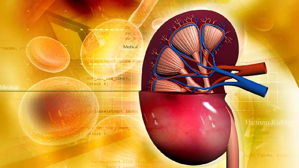 肾功能衰竭好治吗(图2) 肾功能衰竭好治吗(图2)