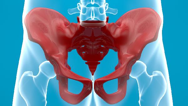 梨状肌疼和坐骨神经疼的区别(图3) 梨状肌疼和坐骨神经疼的区别(图3)