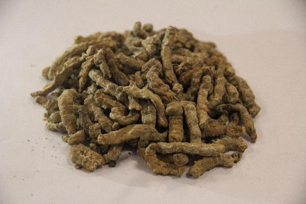 中医有诺如病毒的症状和治疗方法(图1)