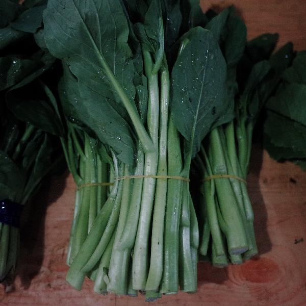 糖尿病人吃青菜可以多吃吗(图3)