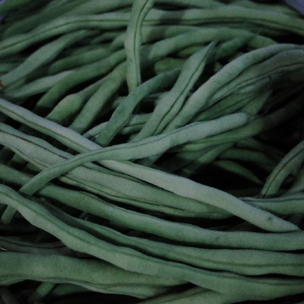 容易消化的饭菜做完肛门手术(图3)