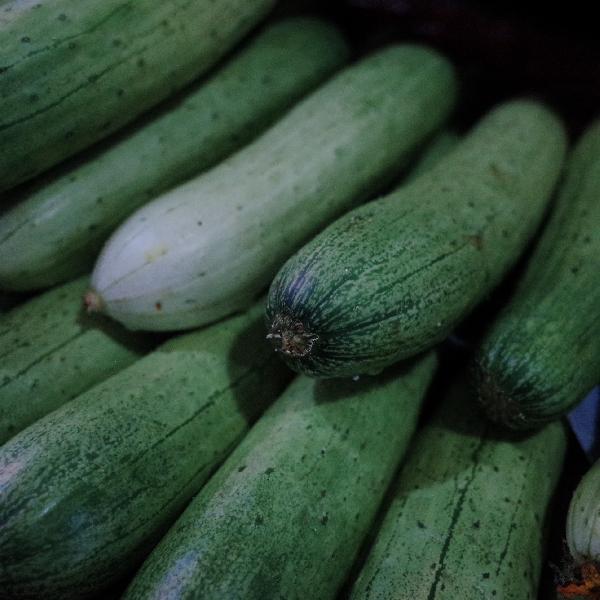 容易消化的饭菜做完肛门手术(图2)