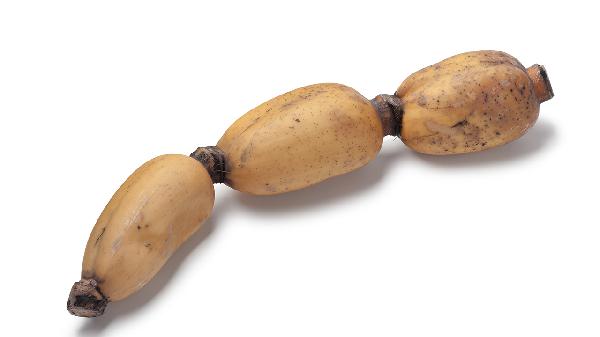 牙不好的老人吃什么食物容易咀嚼(图1)