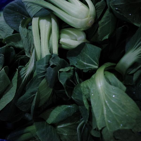 胰腺炎蔬菜汤怎么做最好吃(图2)