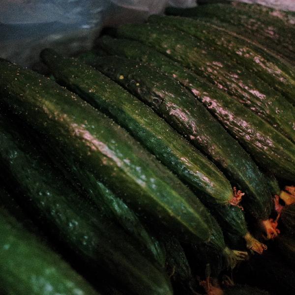 胰腺炎蔬菜汤怎么做最好吃(图3)