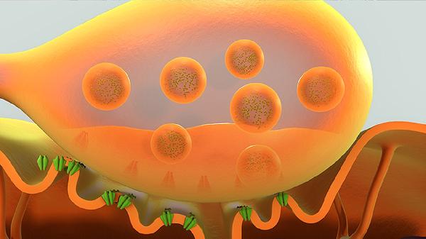 肿瘤五种鱼不能吃.那五种鱼可以吃吗(图1)