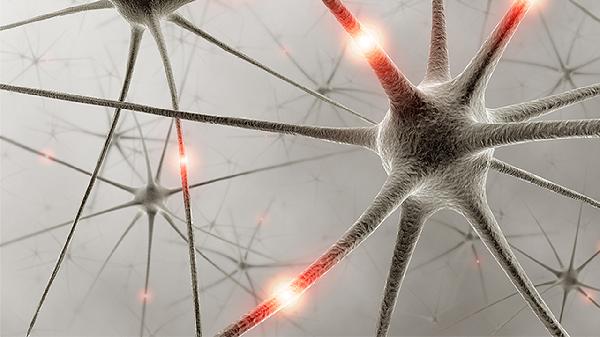 肿瘤五种鱼不能吃.那五种鱼可以吃吗(图2)