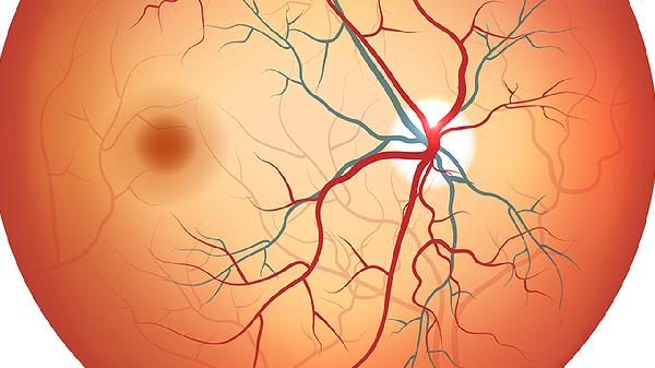 肿瘤五种鱼不能吃.那五种鱼可以吃吗(图3)