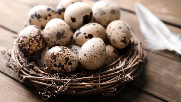 吃了高蛋白的食物会有蛋白尿(图3)
