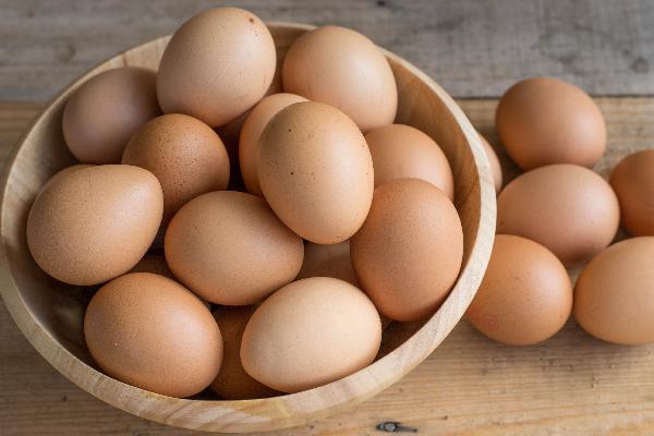 吃高蛋白食物会导致蛋白尿吗(图1)