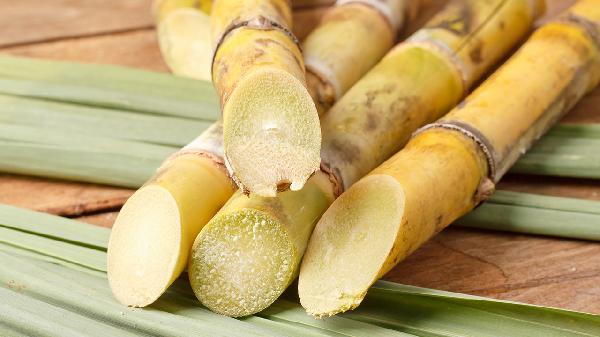 喉咙痛发低烧吃什么食物比较好(图1)