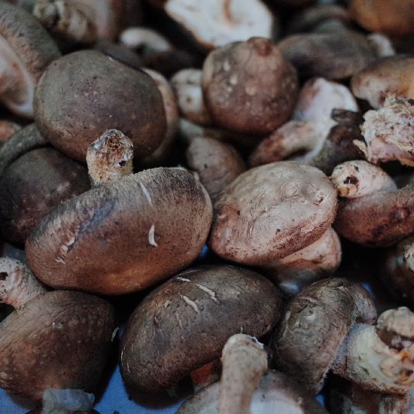 糖尿病患者每天应该吃多少蔬菜(图1)