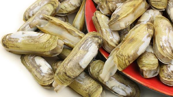 肺结节吃什么食物散结节最快肺结节(图1)