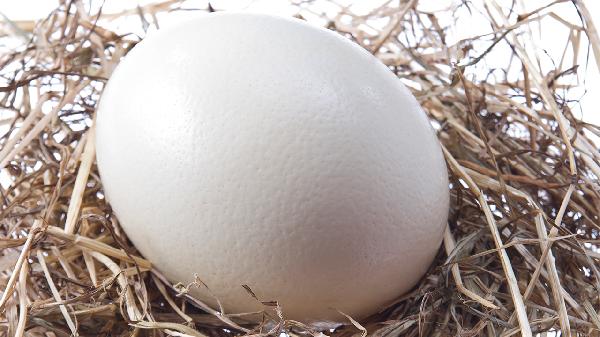 吃高蛋白的食物会有尿蛋白吗(图2)