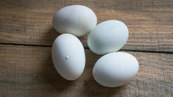 吃高蛋白的食物会有尿蛋白吗(图3)