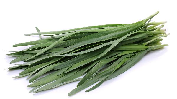 尿酸最怕三个菜能吃韭菜吗(图1)