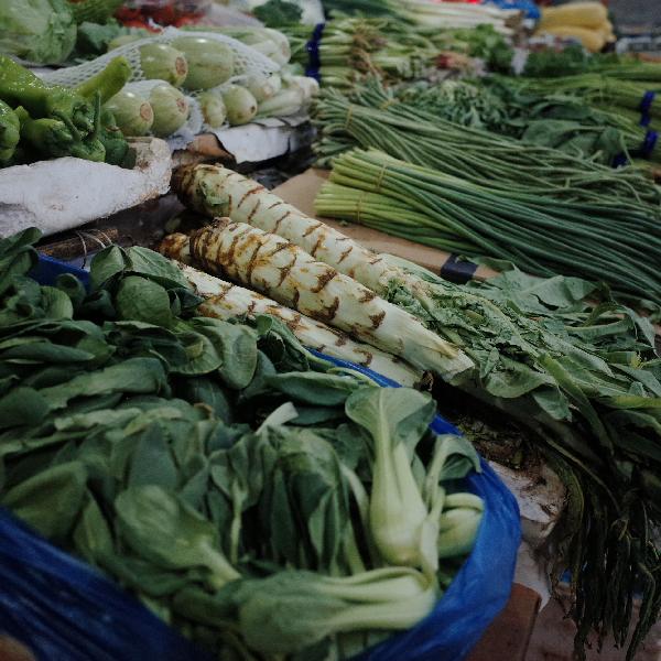 蔬菜汤对癌症患者有益吗能喝吗(图2)