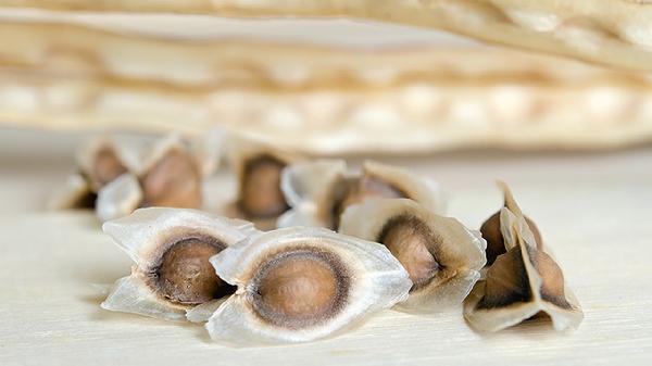 吃什么食物补铁补血效果最好(图2)