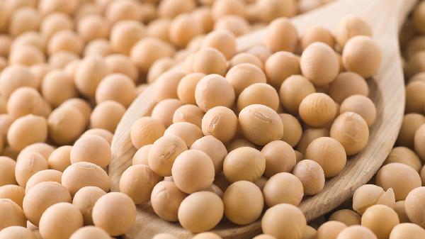 血红蛋白低吃什么食物补得快(图3)