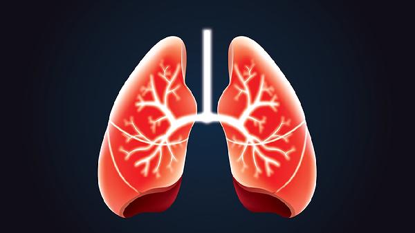 润肺食疗最快最有效的方法(图2)