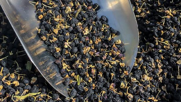 吃什么食物可以止咳化痰最好(图3)