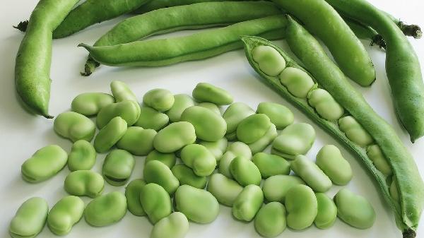 肺结节吃什么食物散结节最快的方法(图2)