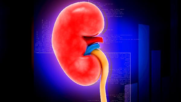 肌酐高的原因及饮食注意事项(图1)