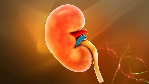 肌酐高的原因及饮食注意事项(图3)