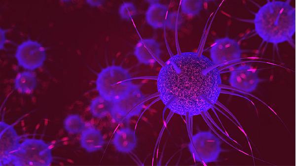 人类免疫缺陷病毒病造成的其他恶性肿瘤(图2)