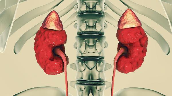 尿比重1.005偏低是什么原因(图2)