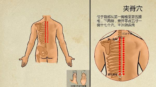 中医抗肿瘤的五大治疗原则是(图3)