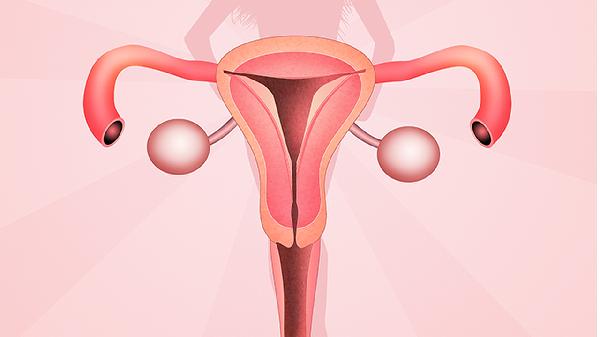 女性保养子宫的几个方法一定要知(图3)