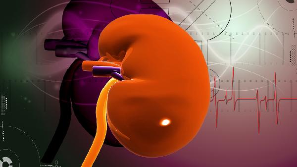 肌酐高到什么程度需要治疗(图1) 肌酐高到什么程度需要治疗(图1)