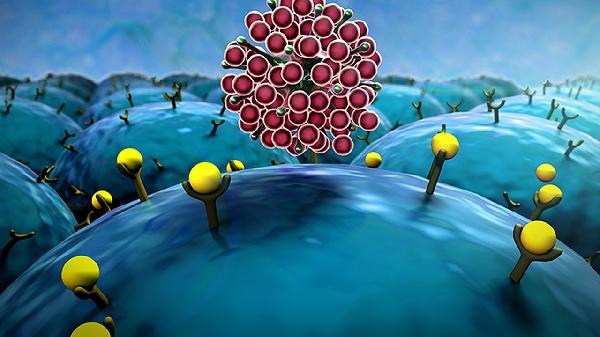 上呼吸道感染的症状有哪些(图1)