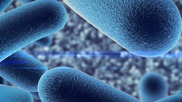 诺如病毒感染会自行治愈吗(图1)