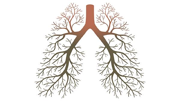 肿瘤标志物物12项检查目的(图3)