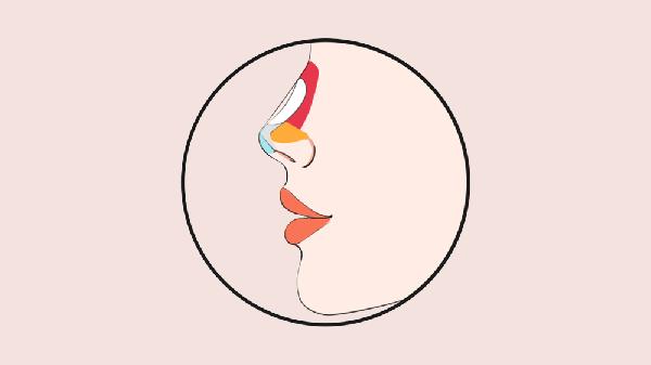 做鼻中隔软骨隆鼻价格要多少？(图1)