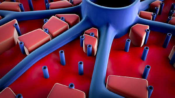 肿瘤标志物的临床意义的详解(图3) 肿瘤标志物的临床意义的详解(图3)