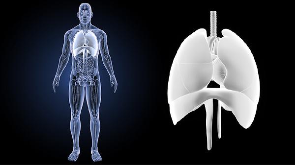 肺癌的中医辨证论治及分型治疗(图3)