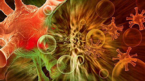 淋巴细胞百分比偏低是什么意思?(图2)