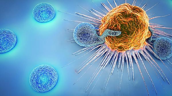 淋巴细胞百分比偏低是什么意思?(图3)