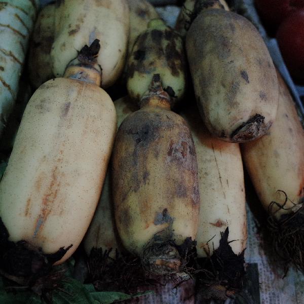 糖尿病不能吃的5种蔬菜?(图3)