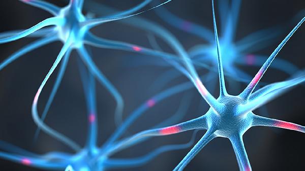 诺如病毒肠炎的症状和治疗方法(图1)