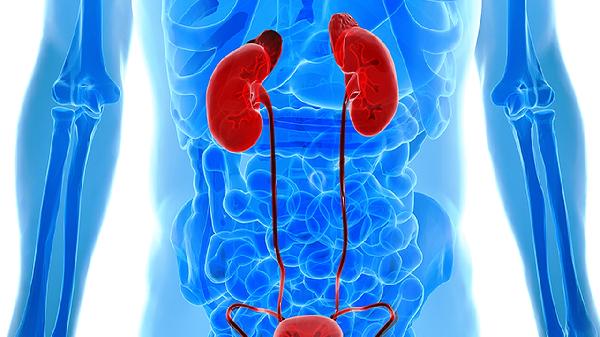 肾囊肿怎么治疗才能消除疼痛的方法有哪些(图1) 肾囊肿怎么治疗才能消除疼痛的方法有哪些(图1)