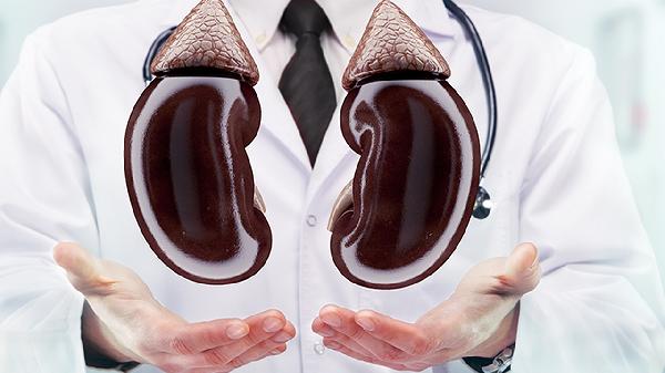 肾囊肿怎么治疗才能消除疼痛的方法有哪些(图3) 肾囊肿怎么治疗才能消除疼痛的方法有哪些(图3)