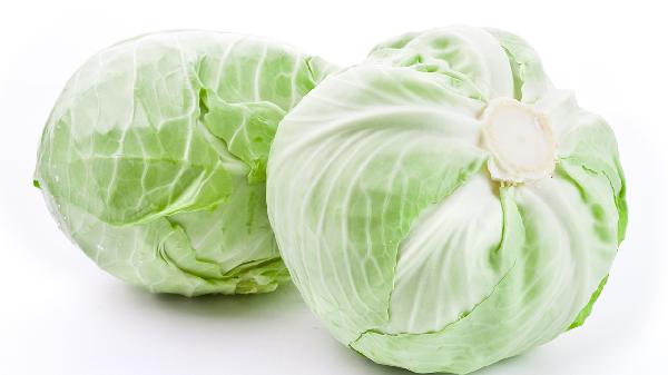 润肺止咳化痰的食物有什么(图3)