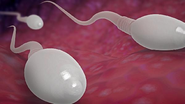 泌乳素高无精症可以治疗吗(图2)