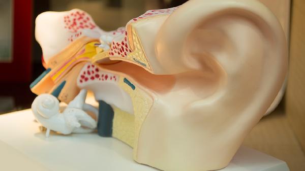 耳朵后面长了一个硬包怎么办?(图1)